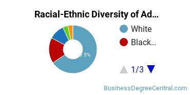 Racial-Ethnic Diversity of Advertising Majors at Western Michigan University