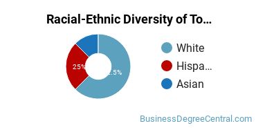 Racial-Ethnic Diversity of Tourism and Travel Services Marketing Operations Majors at Western Michigan University