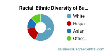 Racial-ethnic diversity of Business Administration & Management majors at Western Nevada College