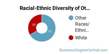 Racial-Ethnic Diversity of Other Economics Majors at Westminster College Pennsylvania