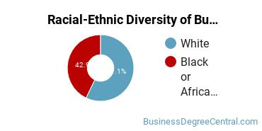 Racial-Ethnic Diversity of Business Management & Marketing Majors at Widener University