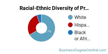 Racial-Ethnic Diversity of Professional Sales Majors at William Paterson University of New Jersey