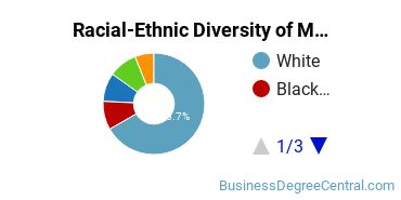 Racial-ethnic diversity of Marketing majors at Wilmington University