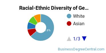 Racial-Ethnic Diversity of General Economics Majors at Winona State University