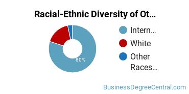 Racial-Ethnic Diversity of Other Management Sciences and Quantitative Methods Majors at Worcester Polytechnic Institute