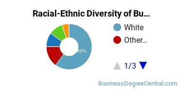Racial-Ethnic Diversity of Business Management & Marketing Majors at Worcester Polytechnic Institute