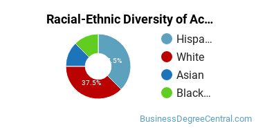 Racial-Ethnic Diversity of Accounting Majors at Yuba College
