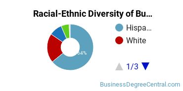 Racial-ethnic diversity of Business Support & Assistance graduates