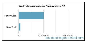 Credit Management Jobs Nationwide vs. NY