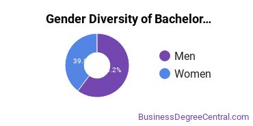 Gender Diversity of Bachelor's Degrees in Business Statistics
